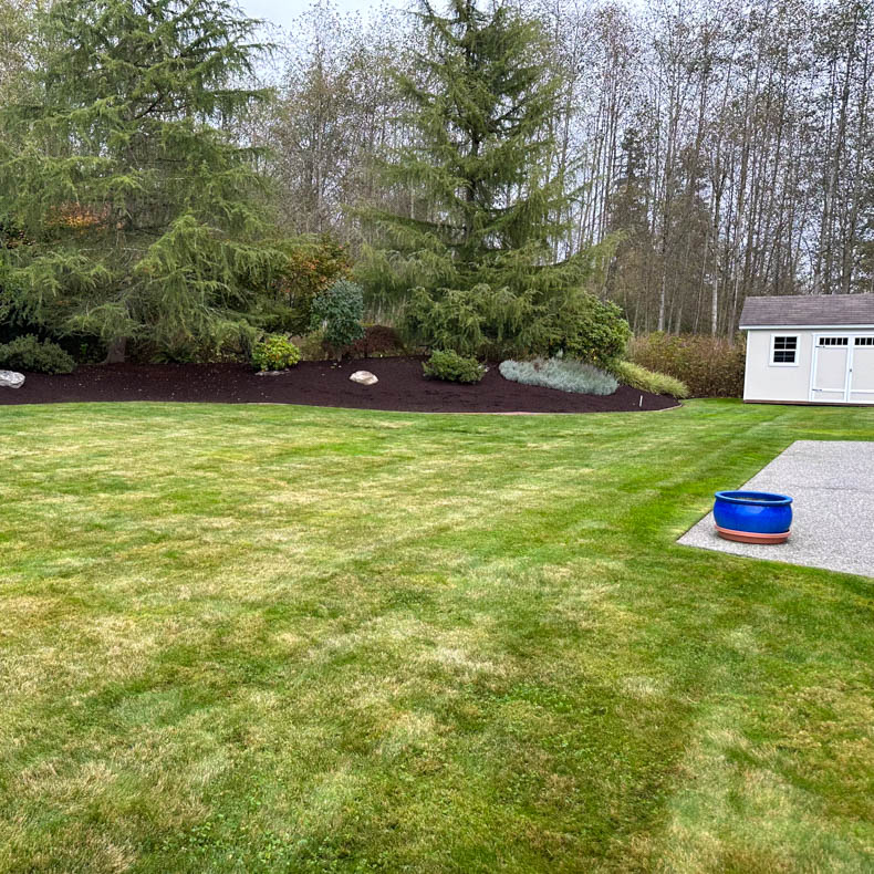 Beautiful Berm