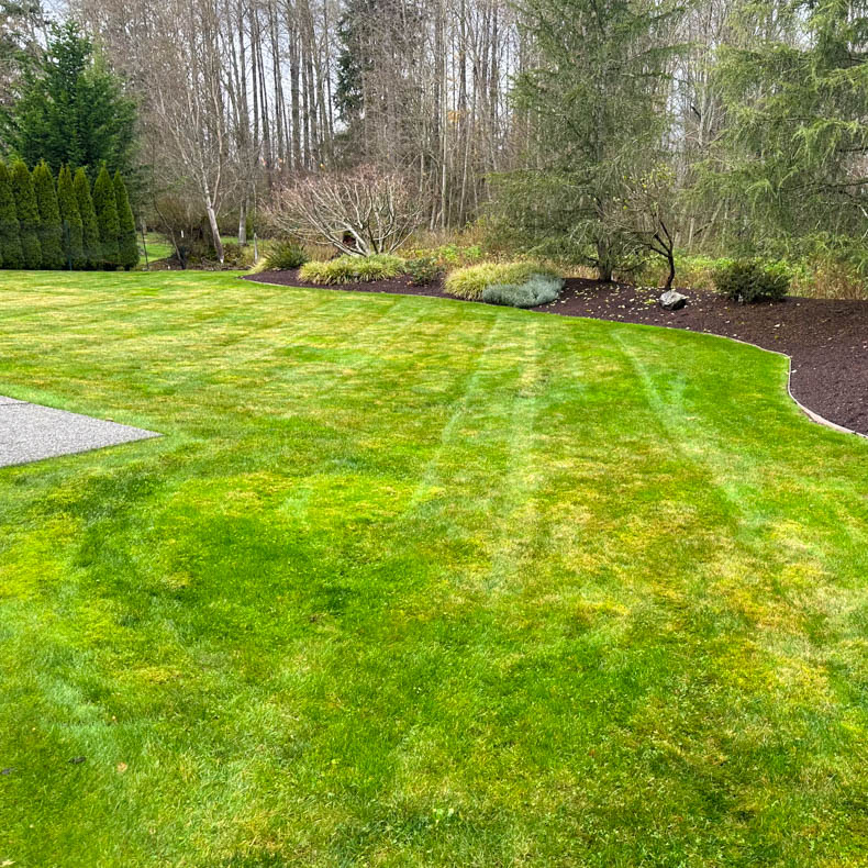 Beautiful Yard