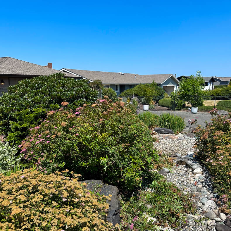Garden Area