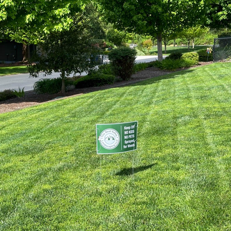 Green Lawn
